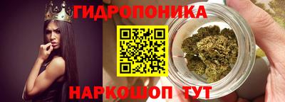 PSILOCYBIN Будённовск