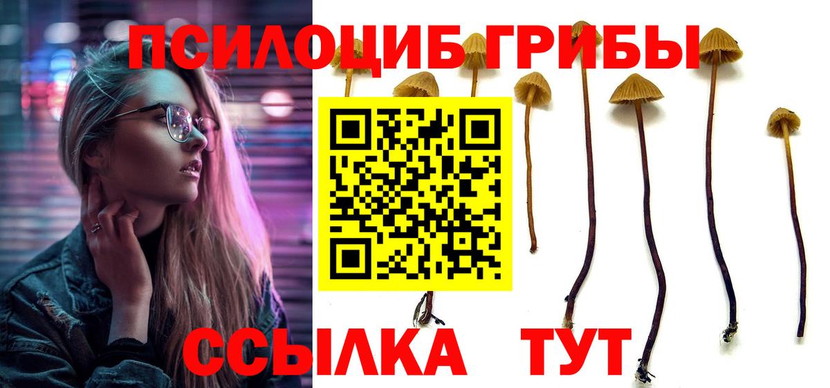 Галлюциногенные грибы GOLDEN TEACHER  Вход с VPN  Чита 